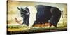 Prize Black Sow-Sean Aherne-Stretched Canvas