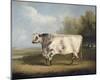 Prize Bull-W^A^ Davis-Mounted Giclee Print