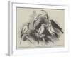 Prize Canaries at the Nottingham Poultry, Pigeon, Rabbit, and Canary Show-Harrison William Weir-Framed Giclee Print