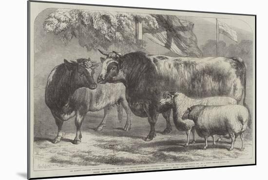 Prize Cattle and Sheep at the Royal Agricultural Society's Show, at Leicester-Samuel John Carter-Mounted Giclee Print