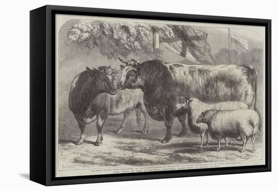 Prize Cattle and Sheep at the Royal Agricultural Society's Show, at Leicester-Samuel John Carter-Framed Stretched Canvas