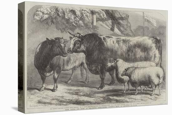 Prize Cattle and Sheep at the Royal Agricultural Society's Show, at Leicester-Samuel John Carter-Stretched Canvas