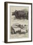 Prize Cattle and Sheep at the Smithfield Club Show-Alfred Sheldon-Williams-Framed Giclee Print