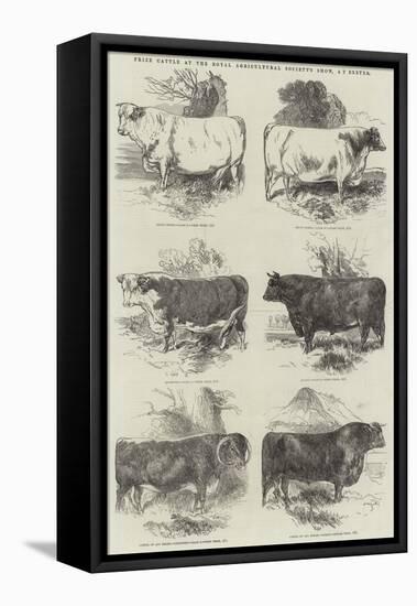 Prize Cattle at the Royal Agricultural Society's Show, at Exeter-Harrison William Weir-Framed Stretched Canvas