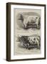 Prize Cattle at the Smithfield Club Show-Alfred Sheldon-Williams-Framed Giclee Print