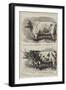 Prize Cattle at the Smithfield Club Show-Alfred Sheldon-Williams-Framed Giclee Print