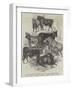 Prize Cattle, Exhibited at the Highland Society's Grand Show at Dundee-null-Framed Giclee Print
