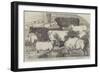 Prize Cattle, from the Exhibition of the Royal Agricultural Society, at Lincoln-Harrison William Weir-Framed Giclee Print