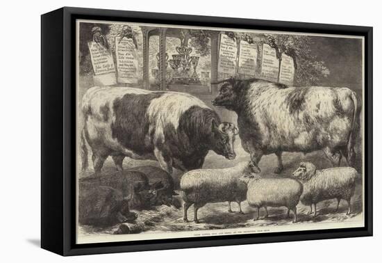 Prize Cattle, Pigs and Sheep, at the Smithfield Club Show-Samuel John Carter-Framed Stretched Canvas