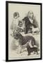 Prize Dogs at the Alexandra Palace Show-null-Framed Giclee Print