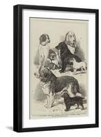 Prize Dogs at the Alexandra Palace Show-null-Framed Giclee Print