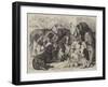 Prize Dogs at the Birmingham Dog Show-Samuel John Carter-Framed Giclee Print