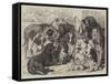 Prize Dogs at the Birmingham Dog Show-Samuel John Carter-Framed Stretched Canvas