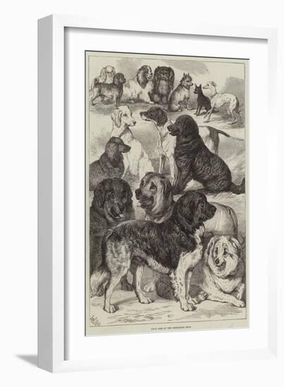 Prize Dogs at the Birmingham Show-Samuel John Carter-Framed Giclee Print