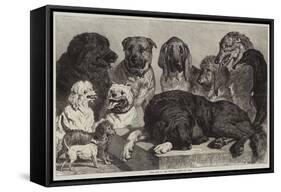 Prize Dogs at the Crystal Palace Dog Show-Samuel John Carter-Framed Stretched Canvas