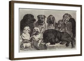 Prize Dogs at the Crystal Palace Dog Show-Samuel John Carter-Framed Giclee Print