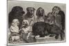 Prize Dogs at the Crystal Palace Dog Show-Samuel John Carter-Mounted Giclee Print