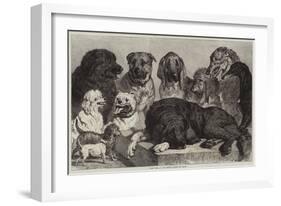 Prize Dogs at the Crystal Palace Dog Show-Samuel John Carter-Framed Giclee Print