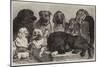 Prize Dogs at the Crystal Palace Dog Show-Samuel John Carter-Mounted Giclee Print
