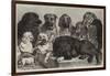 Prize Dogs at the Crystal Palace Dog Show-Samuel John Carter-Framed Giclee Print