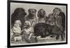 Prize Dogs at the Crystal Palace Dog Show-Samuel John Carter-Framed Giclee Print