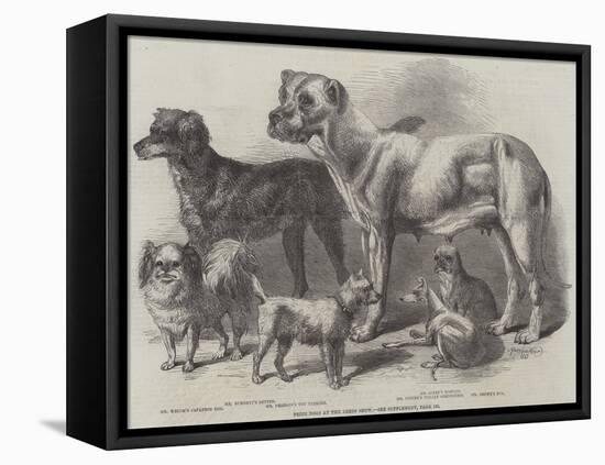 Prize Dogs at the Leeds Show-Harrison William Weir-Framed Stretched Canvas