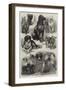 Prize Dogs at the Paris Dog Show-Auguste Andre Lancon-Framed Giclee Print