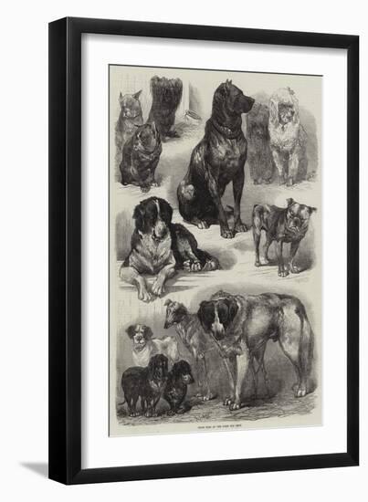 Prize Dogs at the Paris Dog Show-Auguste Andre Lancon-Framed Giclee Print