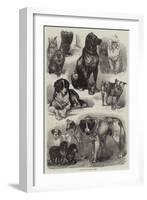 Prize Dogs at the Paris Dog Show-Auguste Andre Lancon-Framed Giclee Print