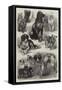 Prize Dogs at the Paris Dog Show-Auguste Andre Lancon-Framed Stretched Canvas