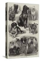 Prize Dogs at the Paris Dog Show-Auguste Andre Lancon-Stretched Canvas