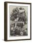 Prize Dogs from the Exhibition at the Agricultural Hall, Islington-Harrison William Weir-Framed Giclee Print
