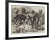 Prize Dogs in the National Dog Show at Islington-Samuel John Carter-Framed Giclee Print