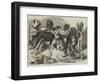 Prize Dogs in the National Dog Show at Islington-Samuel John Carter-Framed Giclee Print