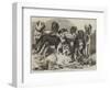 Prize Dogs in the National Dog Show at Islington-Samuel John Carter-Framed Giclee Print