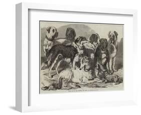 Prize Dogs in the National Dog Show at Islington-Samuel John Carter-Framed Giclee Print