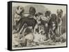 Prize Dogs in the National Dog Show at Islington-Samuel John Carter-Framed Stretched Canvas