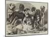 Prize Dogs in the National Dog Show at Islington-Samuel John Carter-Mounted Giclee Print