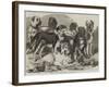 Prize Dogs in the National Dog Show at Islington-Samuel John Carter-Framed Giclee Print
