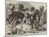 Prize Dogs in the National Dog Show at Islington-Samuel John Carter-Mounted Giclee Print