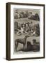 Prize Dogs of the Second International Dog Show at the Islington Agricultural Hall-null-Framed Giclee Print