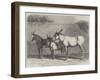 Prize Donkeys and Mule at the Show in the Agricultural Hall, Islington-null-Framed Giclee Print