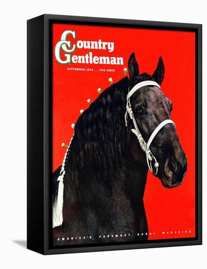 "Prize Draft Horse," Country Gentleman Cover, September 1, 1944-Salvadore Pinto-Framed Stretched Canvas