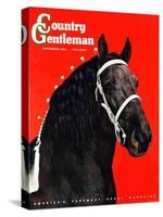 "Prize Draft Horse," Country Gentleman Cover, September 1, 1944-Salvadore Pinto-Stretched Canvas