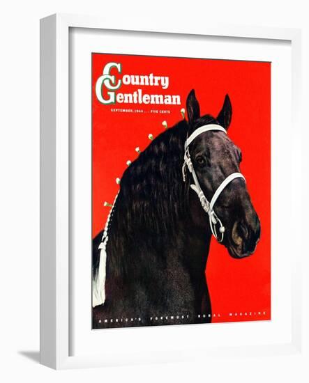 "Prize Draft Horse," Country Gentleman Cover, September 1, 1944-Salvadore Pinto-Framed Giclee Print