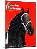 "Prize Draft Horse," Country Gentleman Cover, September 1, 1944-Salvadore Pinto-Mounted Giclee Print