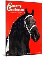 "Prize Draft Horse," Country Gentleman Cover, September 1, 1944-Salvadore Pinto-Mounted Giclee Print