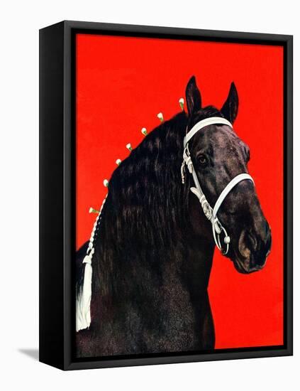 "Prize Draft Horse,"September 1, 1944-Salvadore Pinto-Framed Stretched Canvas