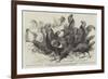 Prize Fowls from the Crystal Palace Poultry Show-null-Framed Giclee Print