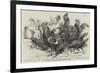 Prize Fowls from the Crystal Palace Poultry Show-null-Framed Giclee Print